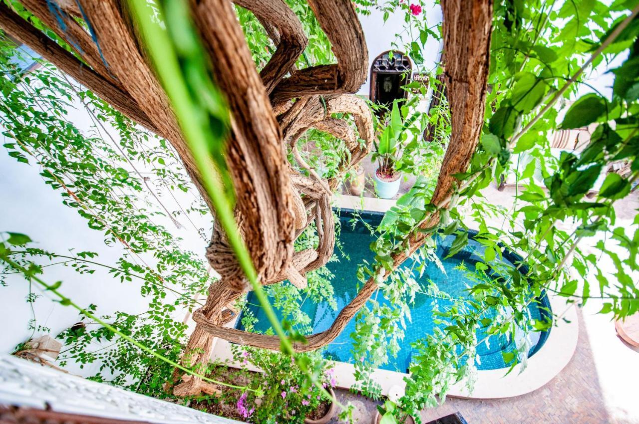 Hotel & Spa Riad Dar El Aila Маракеш Екстериор снимка